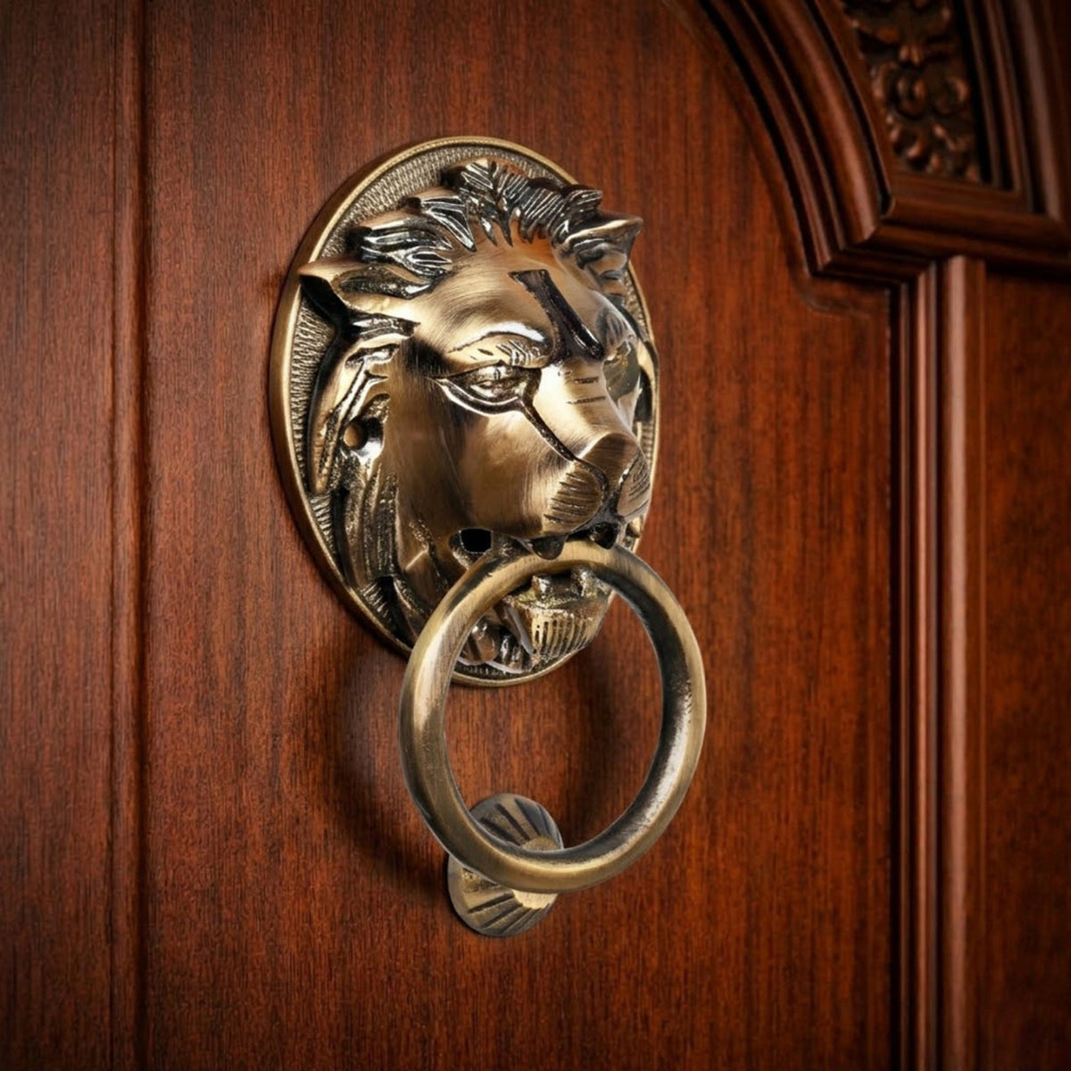 Brass lion head door knocker on a wooden door
