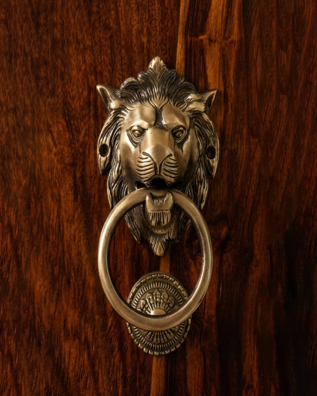 Bronze lion head door knocker on a wooden door