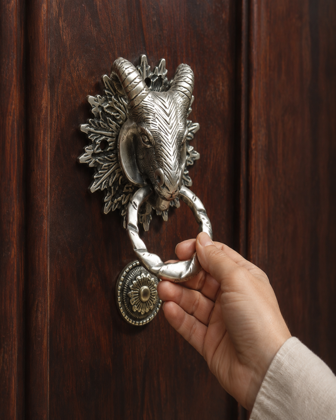 A hand holding a twisted metal ring pull attached to an ornate ram head door knocker in a silver finish, mounted on a dark brown wooden door.